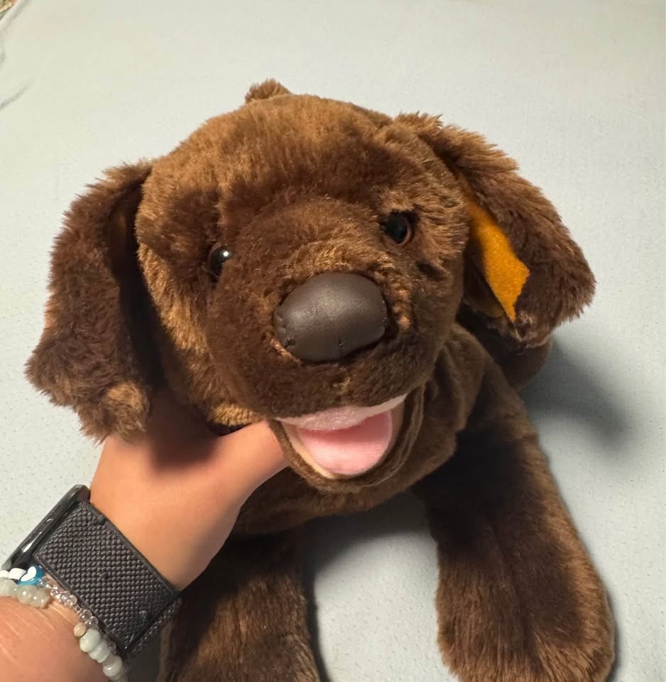 Build-A-Bear Beremy's Kennel Pals Chocolate Lab - photo 4