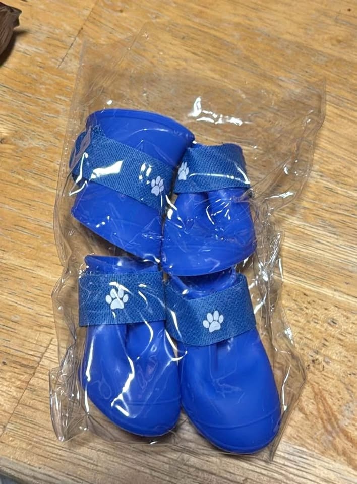 Dog Booties - Size Medium (Tiny Fit)