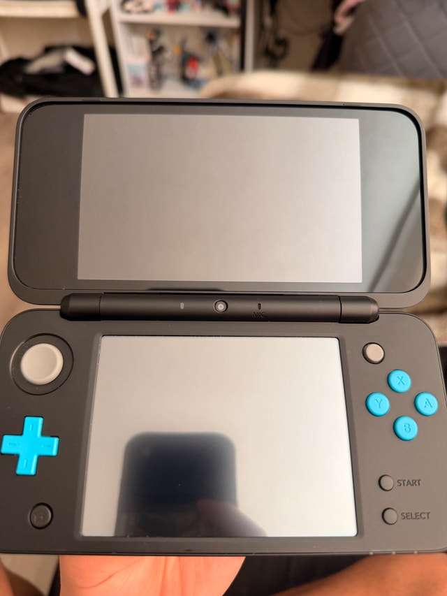 Fully modded 2DS XL Mint condition (no screen scratches)