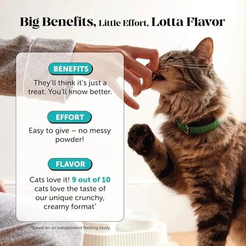 Calming Chews for Cats - 30ct - photo 2
