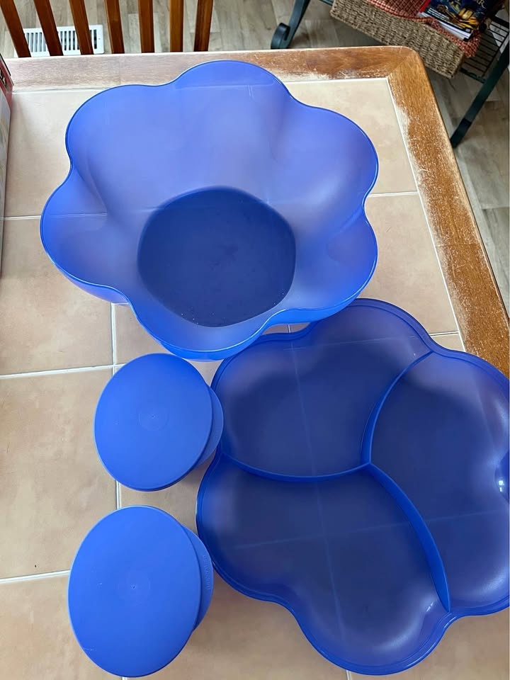 Tupperware Chip & Dip / Veggie Tray Set – Never Used