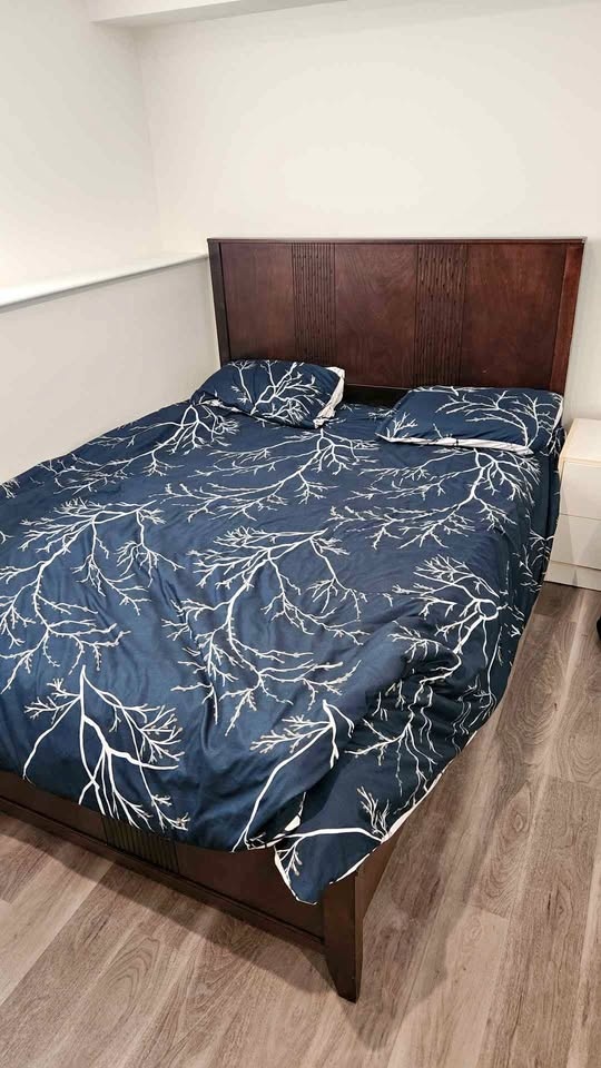 Queen Size Bed for Sale $50