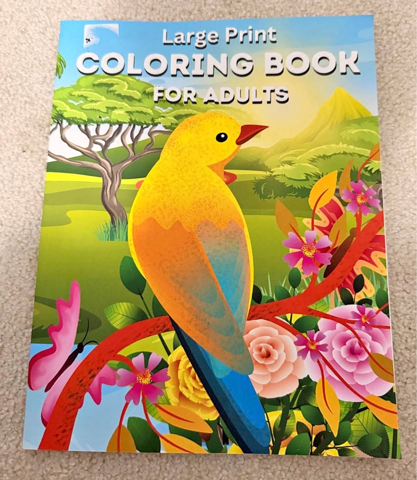 Large Print Adult Coloring Book