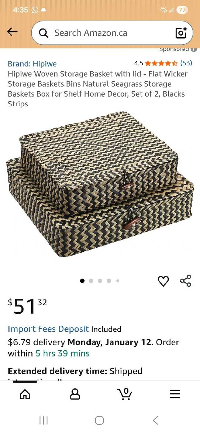 New Set of 2 Hipiwe Woven Storage Baskets