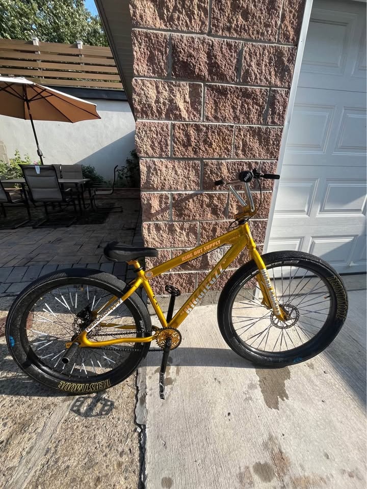 golden beast mode 2022 ( biggiegzz) - photo 2