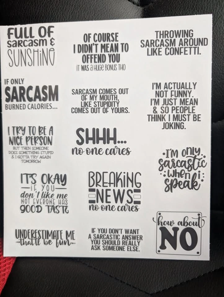 Sarcastic Sticker Sheets | Snarky Vinyl Decals - photo 3
