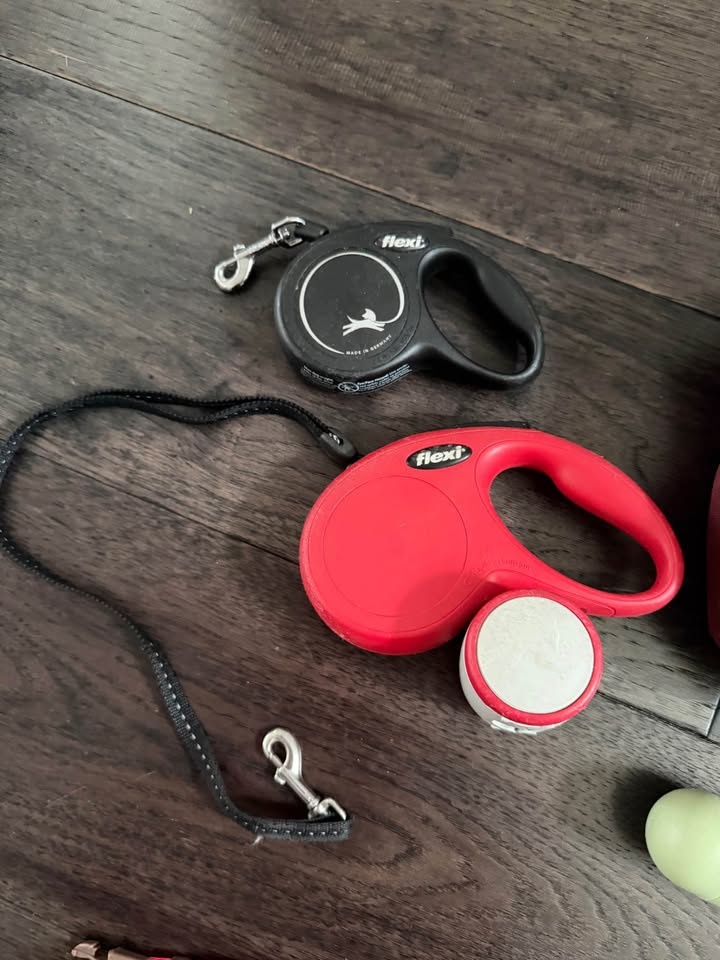 Dog accessories - leash, collar, training bag, snacks - photo 2
