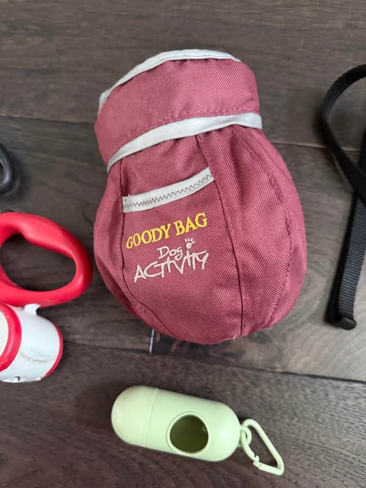 Dog accessories - leash, collar, training bag, snacks - photo 3