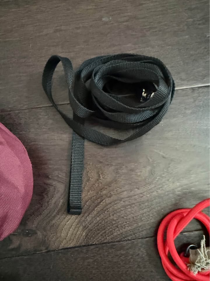 Dog accessories - leash, collar, training bag, snacks - photo 4