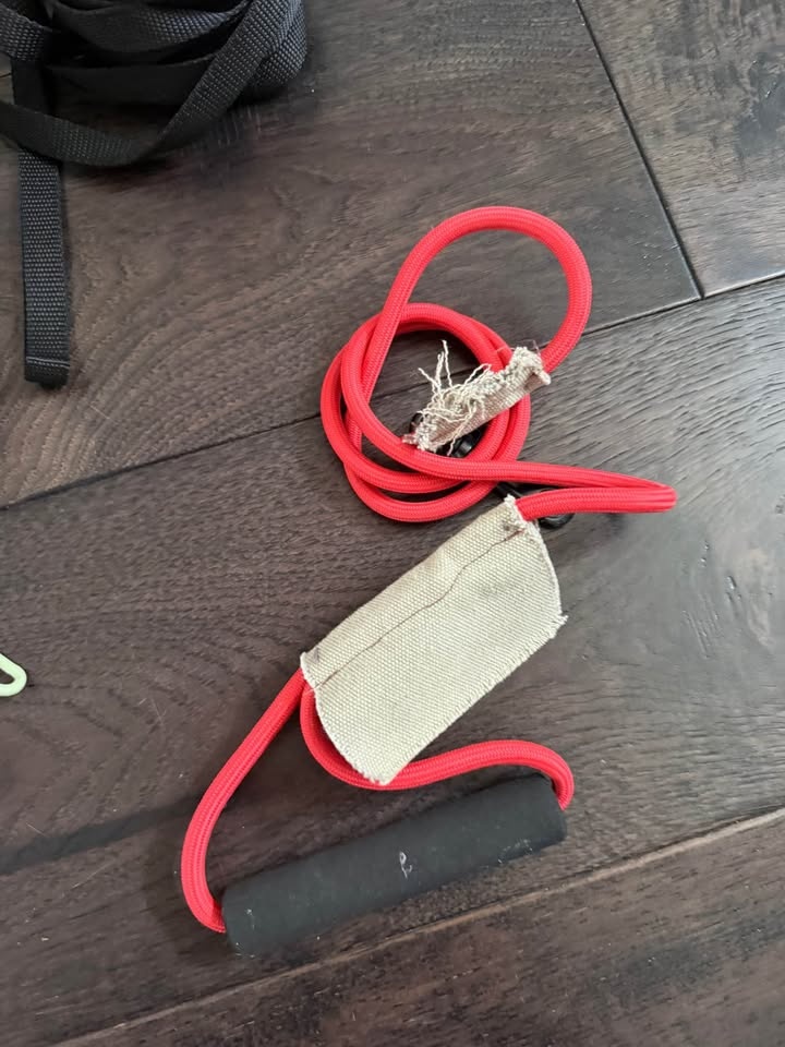 Dog accessories - leash, collar, training bag, snacks - photo 5