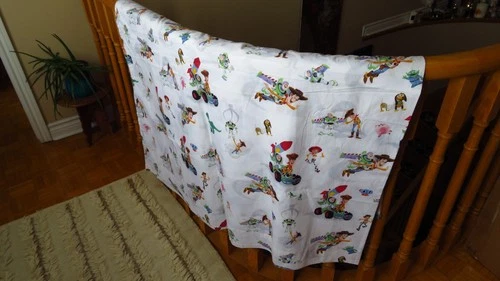 Pottery Barn Kids Toy Story Queen Flat Sheet