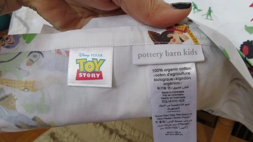 Pottery Barn Kids Toy Story Queen Flat Sheet - photo 4