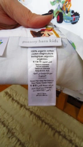 Pottery Barn Kids Toy Story Queen Flat Sheet - photo 5