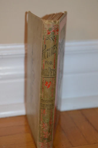 Antique 1875 "Dr. Livingstone" The Great Missionary Traveler - photo 3