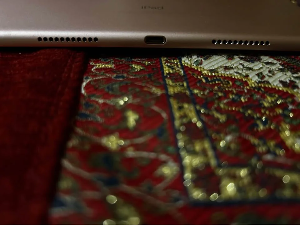 iPad Pro- Great condition image indicator(4)