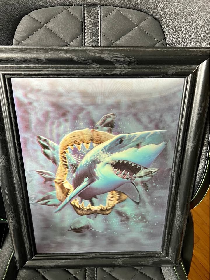 Shark 3-D picture