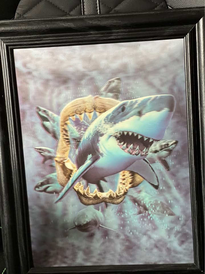 Shark 3-D picture - photo 2