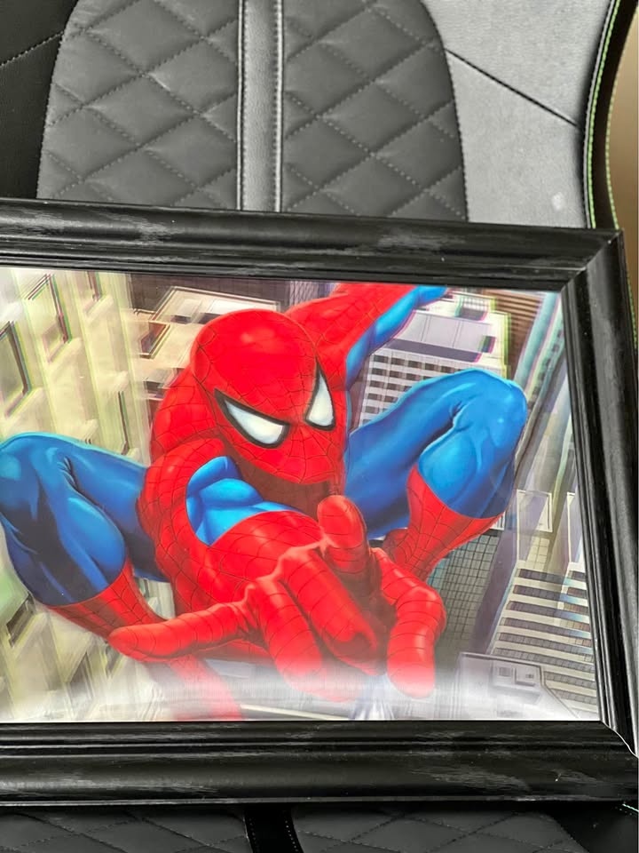 Spider-Man 3-D picture