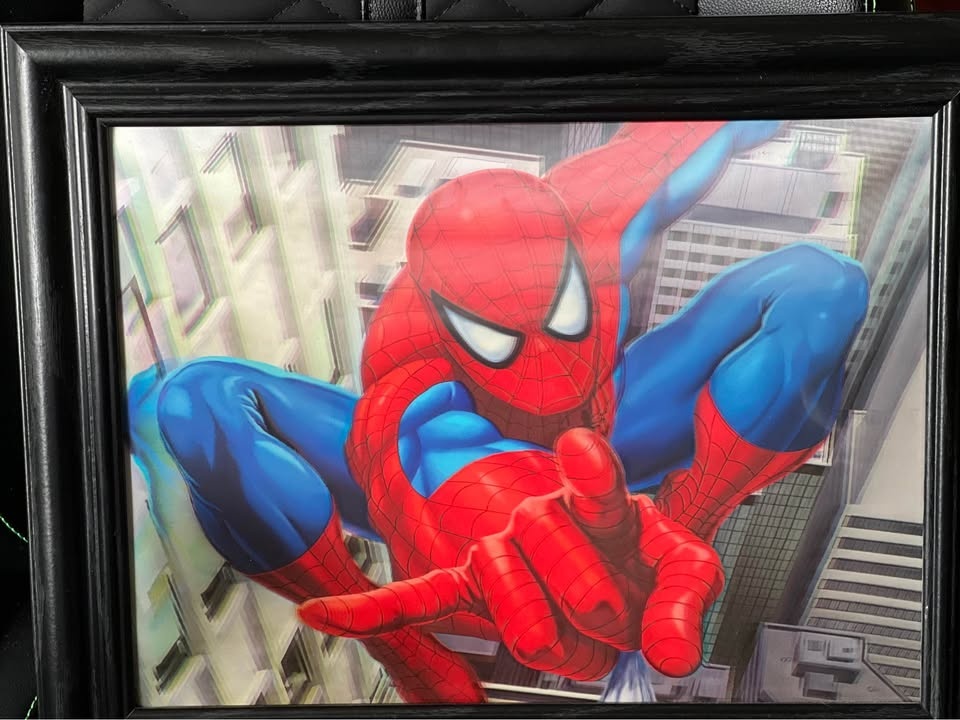 Spider-Man 3-D picture - photo 2