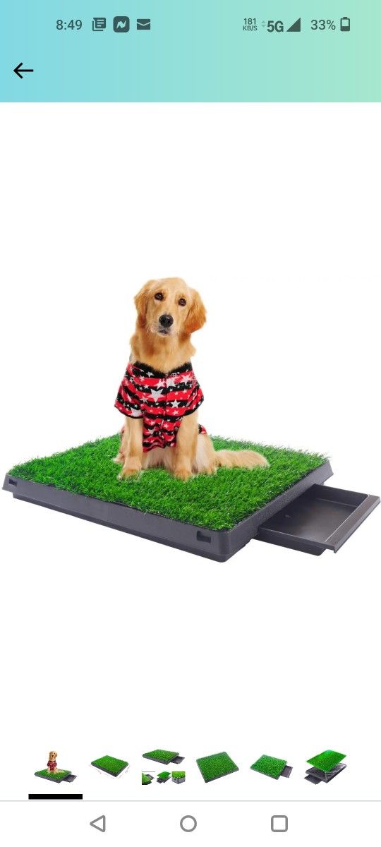 COZIWOW TRAINING POTTY GRASS