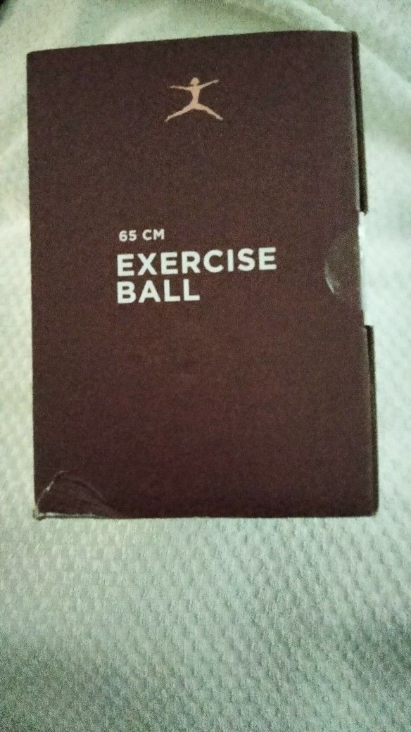 DANSKIN Exercise Ball - photo 3