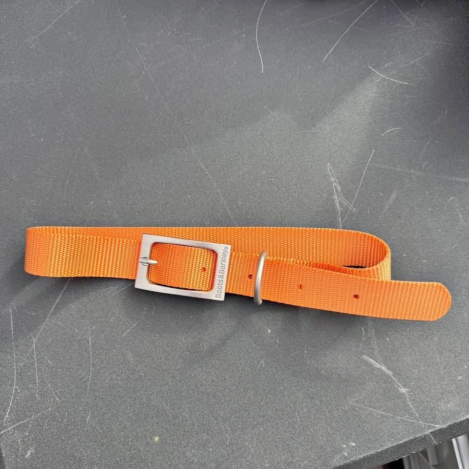 Brand New Boots & Barkley Dog Collar