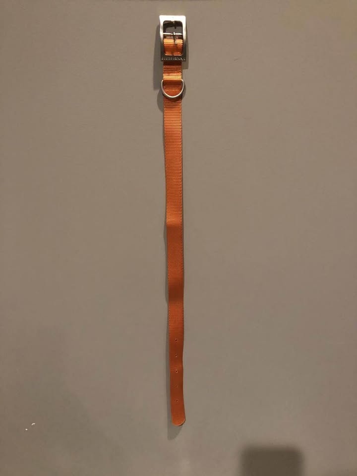 Brand New Boots & Barkley Dog Collar - photo 3