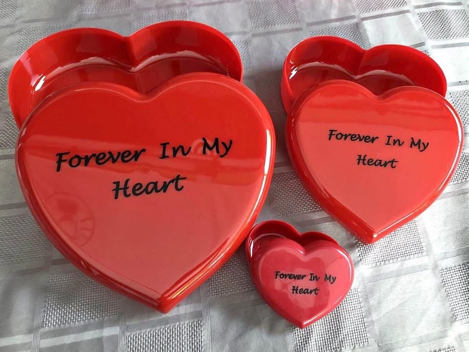 Brand New Forever in My Heart Storage Containers
