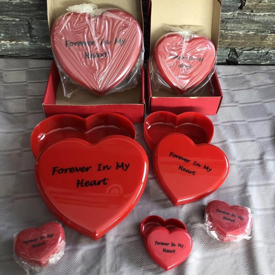 Brand New Forever in My Heart Storage Containers - photo 2