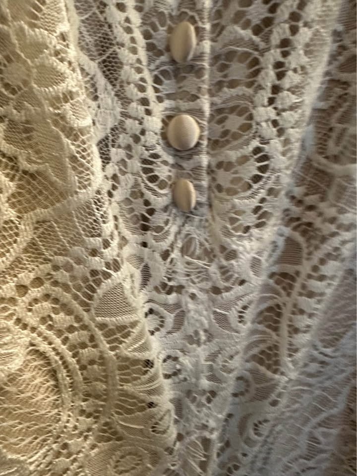Ivory Lace Wedding Gown - photo 4