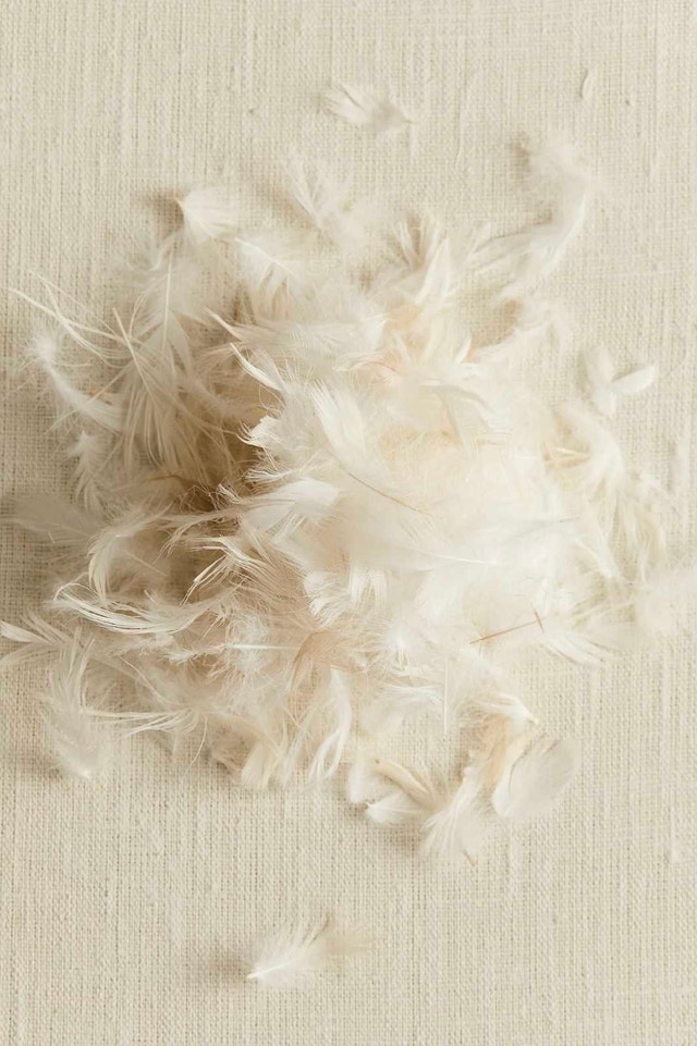 H&M Home Duck Feather Pillow Inserts 20x20 in (50x50 cm) – NEW - photo 5
