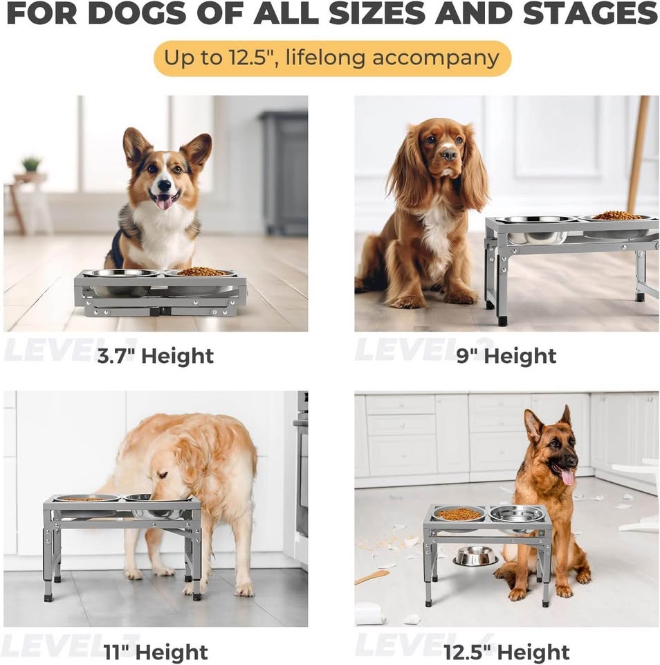Brand New Sealed Adjustable Raised Dog Feeder Set - photo 2