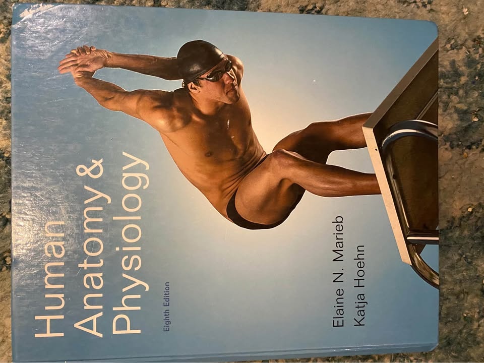 Human Anatomy and Physiology