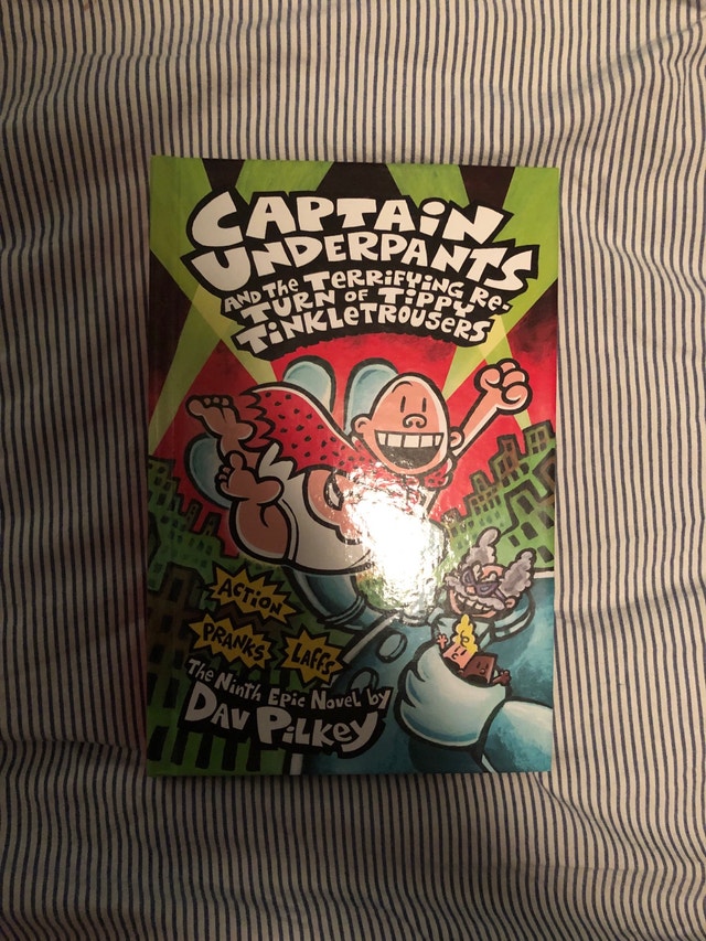 Assorted Books/Theft of Swords/Captain Underpants! - photo 4