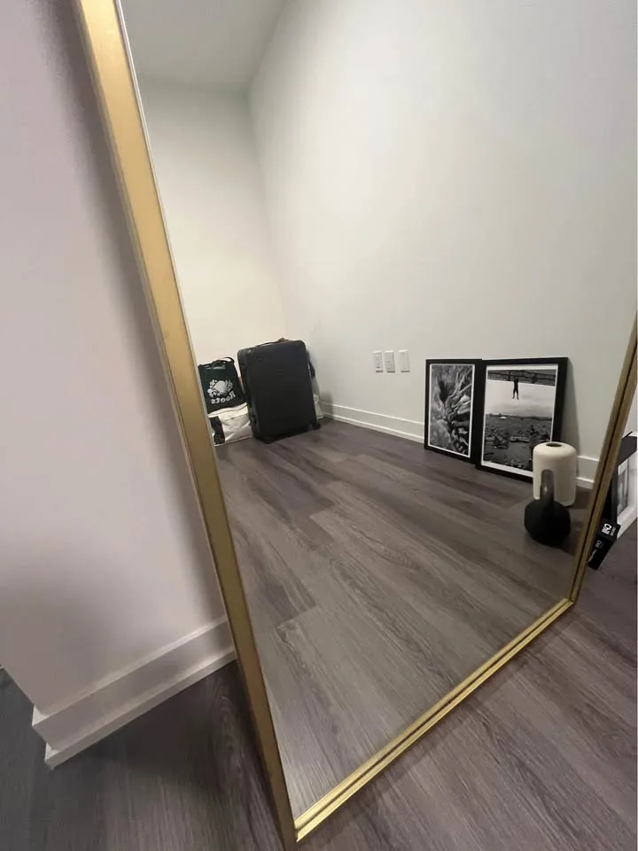 West Elm Metal Frame Arched Floor Mirror image indicator(3)