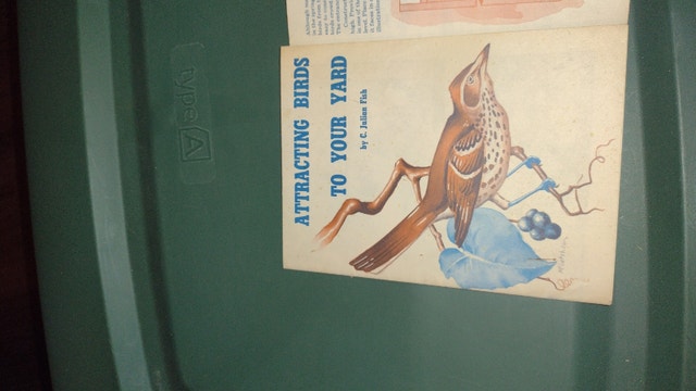 Attracting Birds to Your Yard Pamphlet - photo 2
