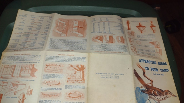 Attracting Birds to Your Yard Pamphlet - photo 4