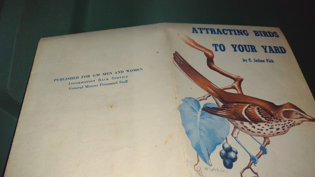Attracting Birds to Your Yard Pamphlet - photo 5