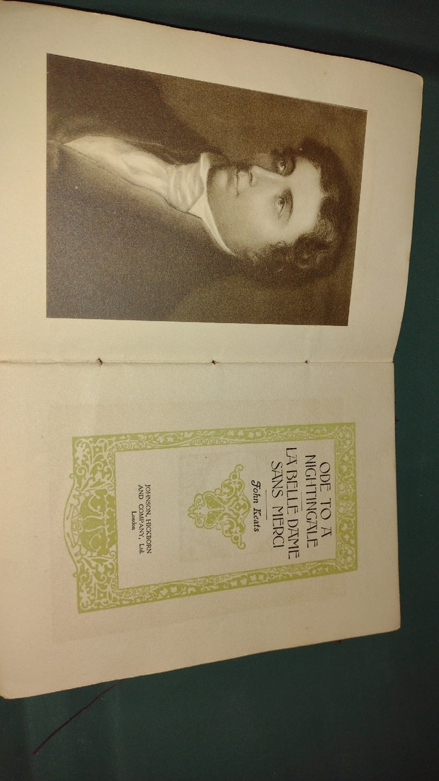 Ode to a Nightingale - photo 2