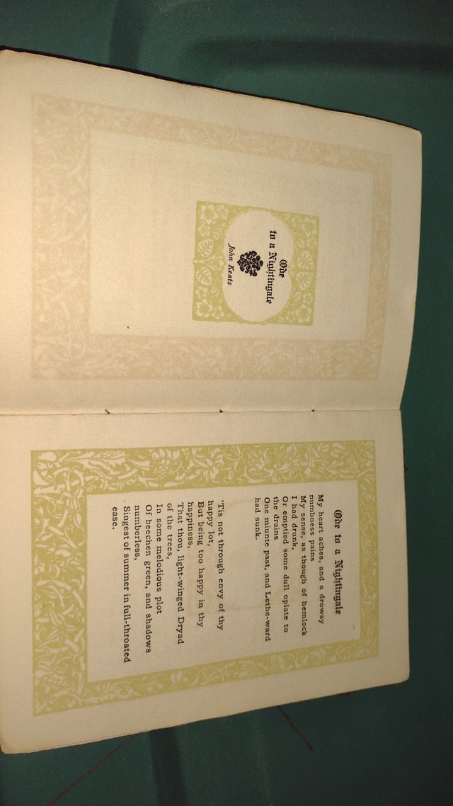 Ode to a Nightingale - photo 3