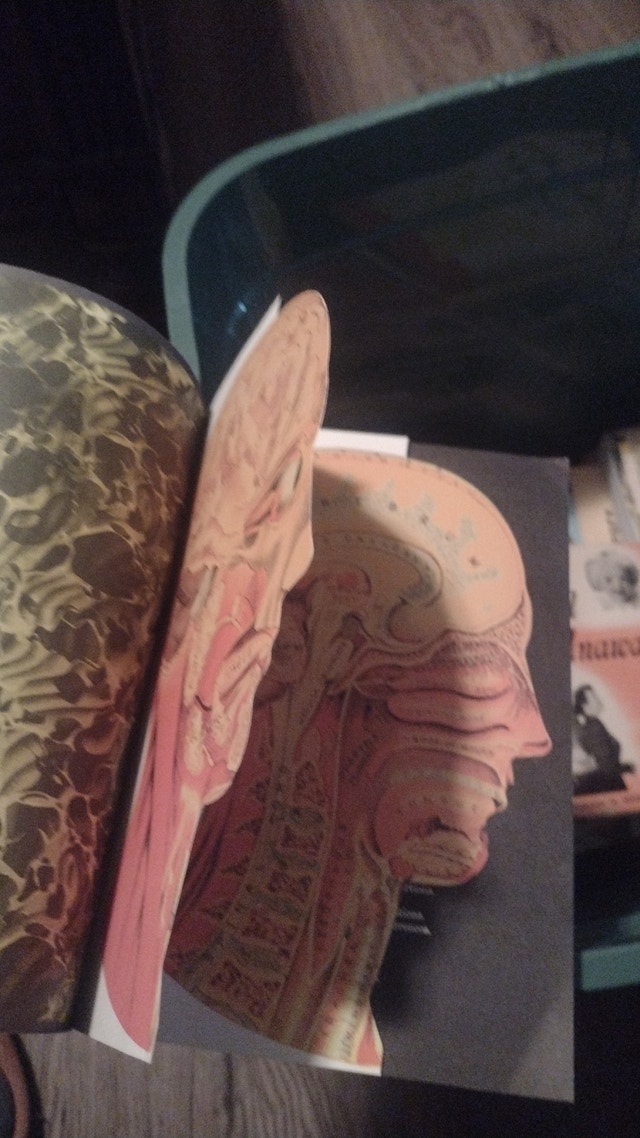 Vitalogy - Encyclopedia of Health and Home - photo 2