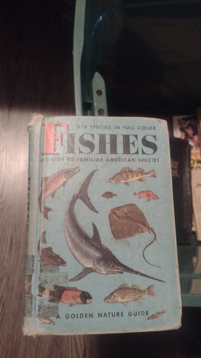 Fishes: A Guide to Familiar American Species - Golden Nature Gui