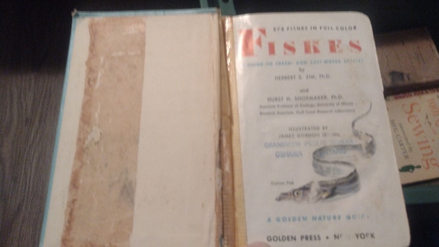Fishes: A Guide to Familiar American Species - Golden Nature Gui - photo 2
