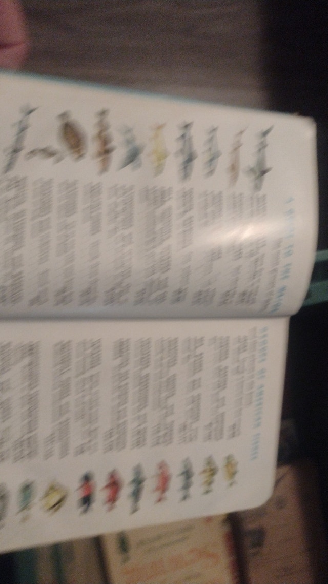 Fishes: A Guide to Familiar American Species - Golden Nature Gui - photo 4