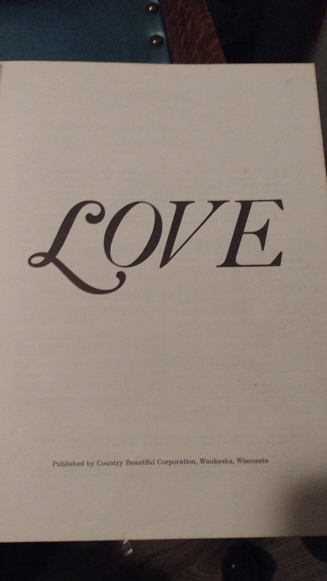 Love-- Country Beautiful - photo 3