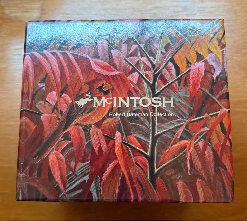 McIntosh “Cardinal & Sumac” Tea for One Set - perfect as a gift - photo 2