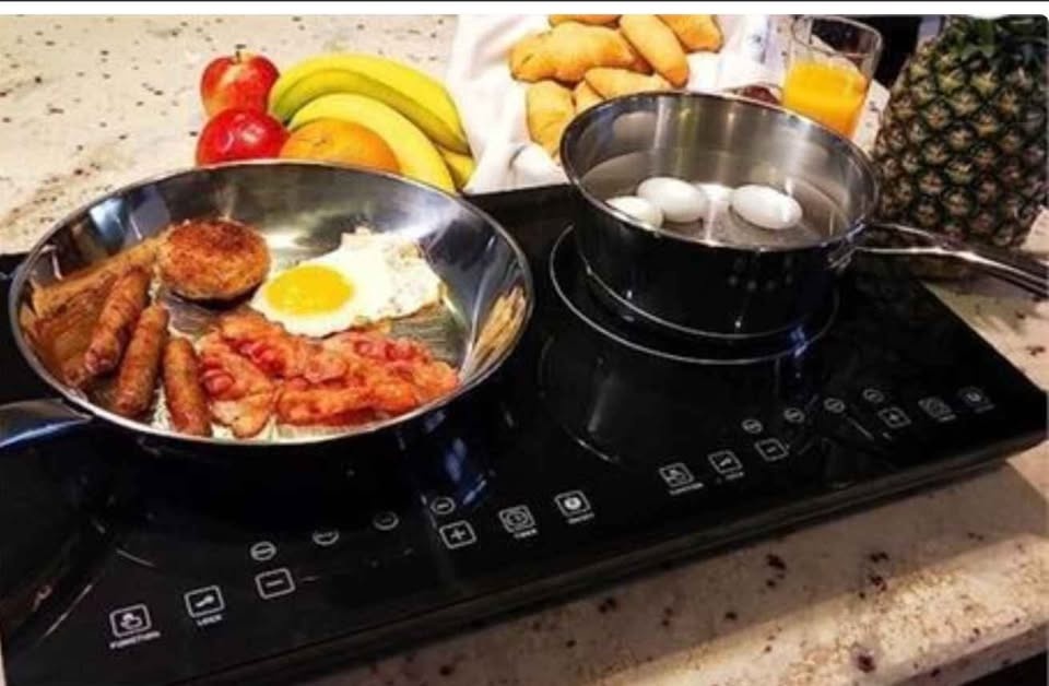 Evergreen Home 1800W Double Induction Cooktop