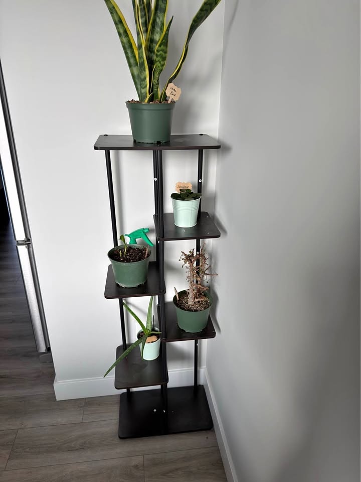 Plants Stand