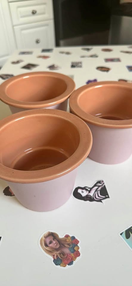 All for $20 Ikea FNITTRIG plant pots pink orange