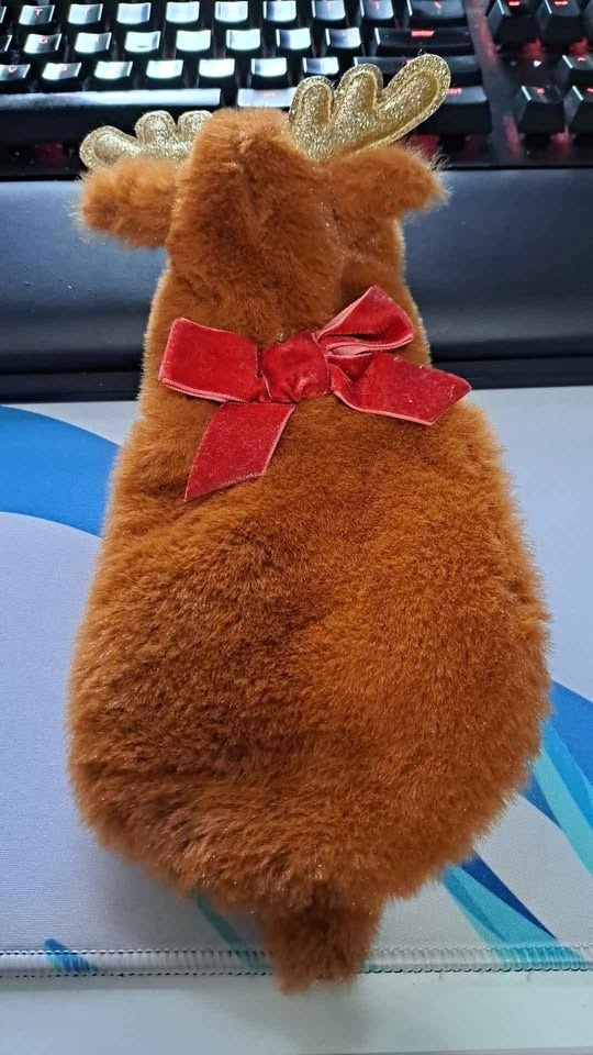 Small Animal Costumes - Pet Smart - photo 3